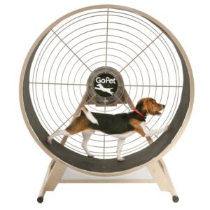 CS4814 – Small-Medium Breed TreadWheel CS4814 – Small-Medium Breed TreadWheel