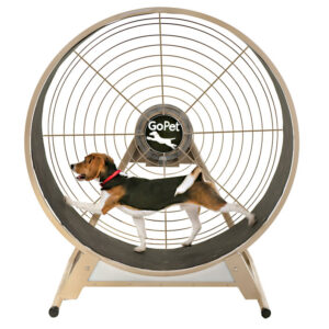 CS4814 – Small-Medium Breed TreadWheel CS4814 – Small-Medium Breed TreadWheel