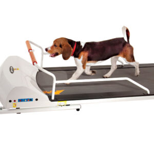 PR720F – Small-Medium Breed TreadMill