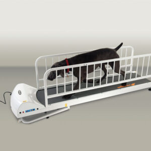 PR725 – Large Breed TreadMill PR725 – Large Breed TreadMill