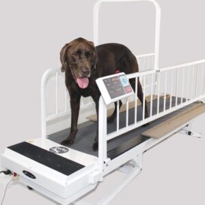 PR850 – ProRehab Model TreadMill PR850 – ProRehab Model TreadMill