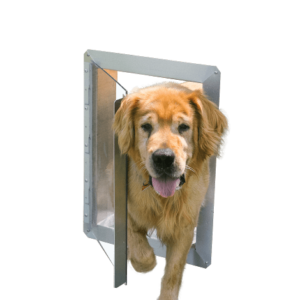 dog-vue-door