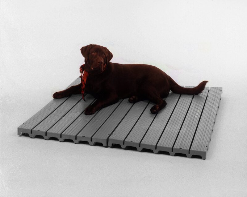 Kennel_Deck_Final Kennel_Deck_Final