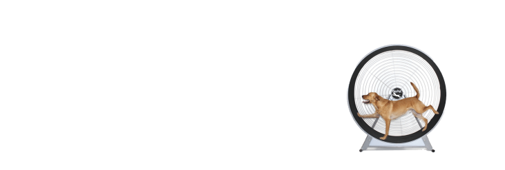 exercise wheel for dogs